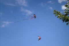 Jamaican Independance Celebration @ Gloucester Park 2007